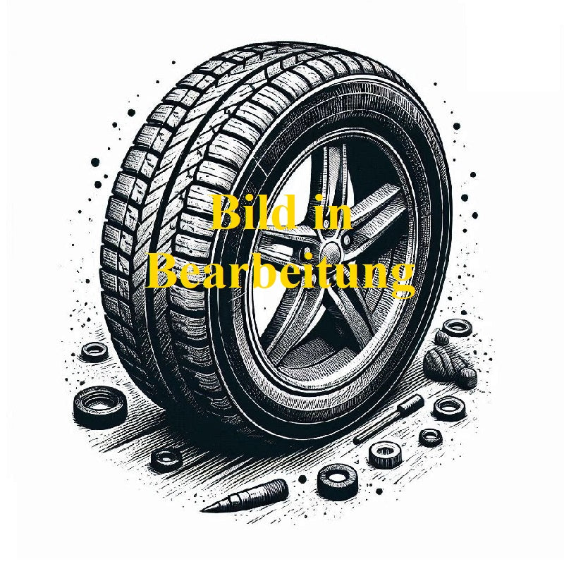 VanContact Winter - 112/110 R (11 5N)