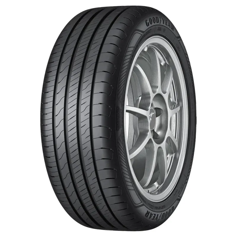 GOODYEAR EFFICIENT GRIP PERFORMANCE 2 205/55 R16 91W