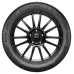 PIRELLI POWERGY 2 205/55 R16 94V