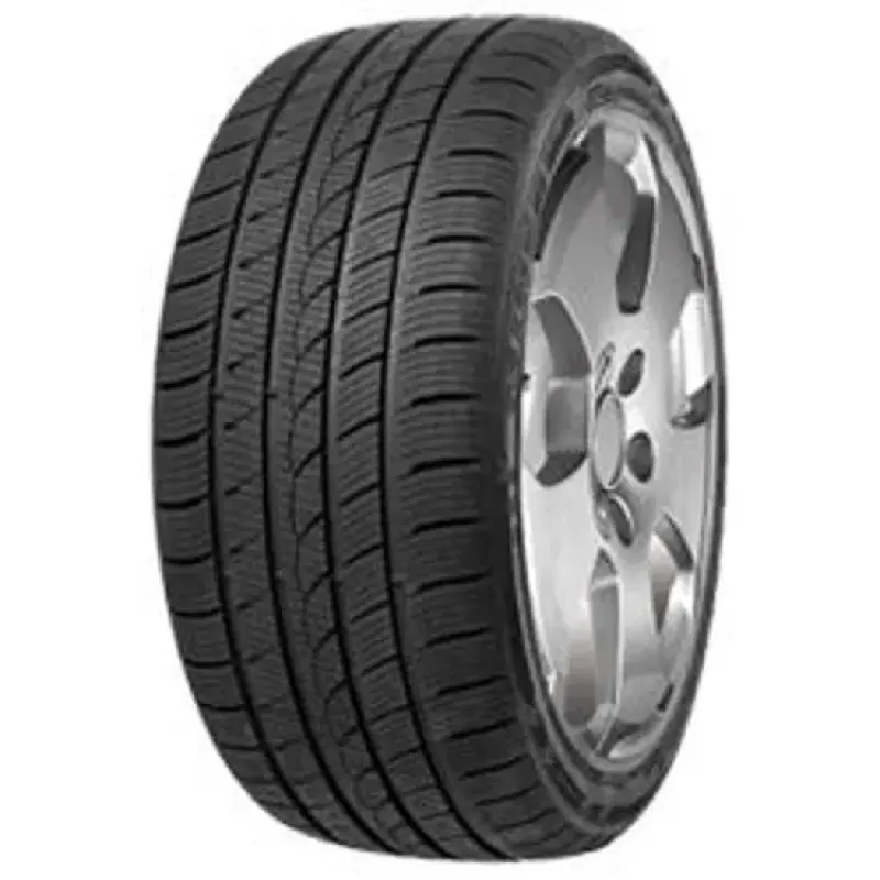 MINERVA S220 255/50 R19 107V
