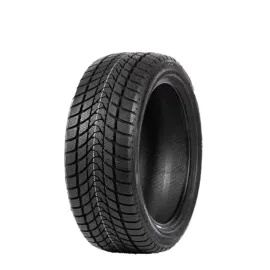 DELINTE WD1 185/65 R14 86H