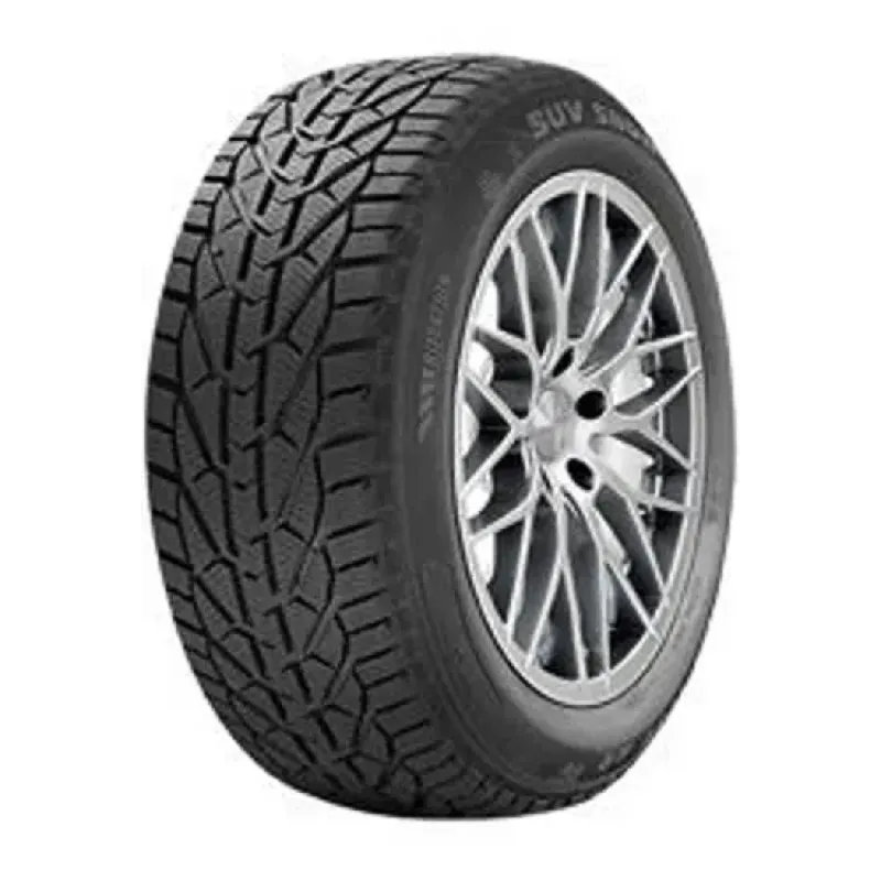 RIKEN SUV SNOW 225/65 R17 106H