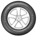 FIRESTONE VANHAWK WINTER 2 EVO 215/70 R15 107R