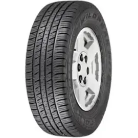 FALKEN WP/HT01 225/60 R17 99T